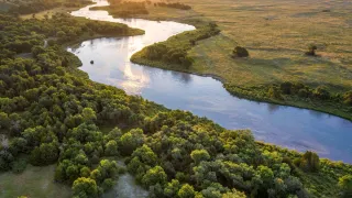 Overhead shot of river and trees at golden hour