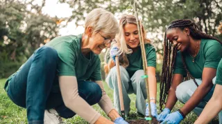 Three women planting a tree together outdoors