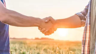 Two farmers shaking hands in field