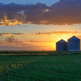 Silhouette of grain bins and green field at sunset