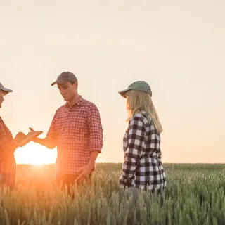 Three young farmers standing in a green field during sunset