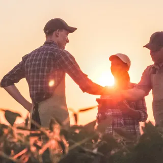 Three farmers standing in a field at sunset, shaking hands