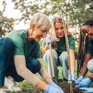 Three women planting a tree together outdoors