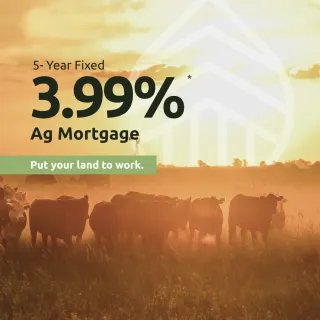 Ag Mortgage rate promo 3.99